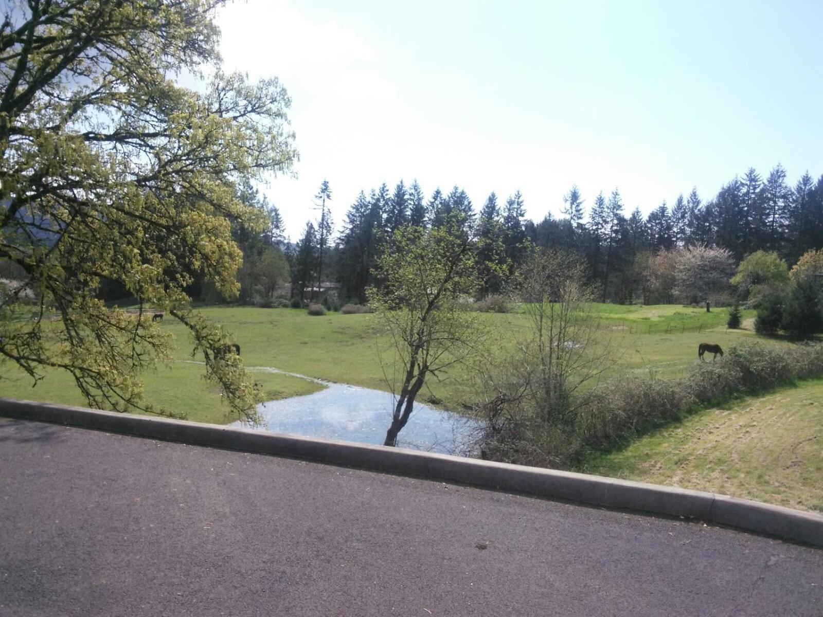 Vancouver Wa Beautiful Apartment Woodland Eksteriør bilde